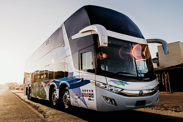  56 passengers full size charter bus