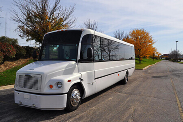 Smyrna party bus interior